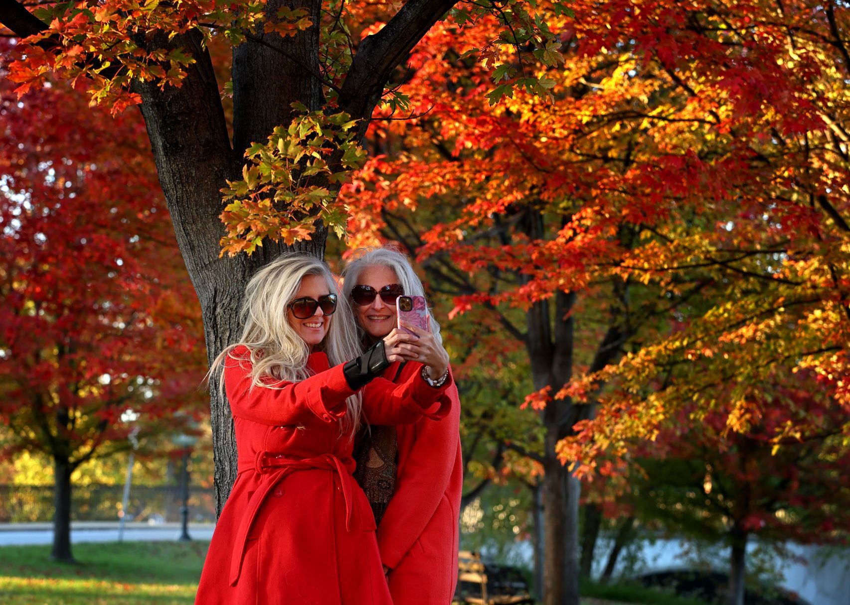 Fall color around St. Louis 2021